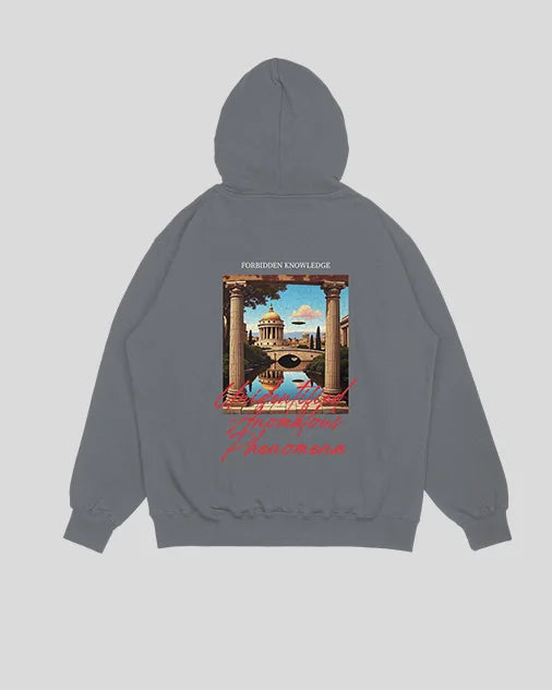 Hoodie gris piedra Anomalous (UNISEX)