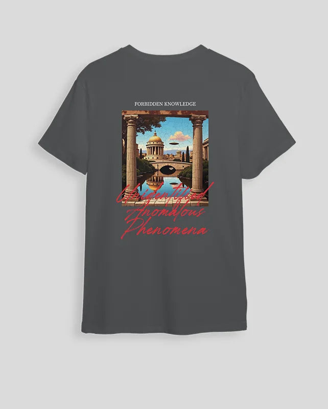 Camiseta gris piedra Anomalous (UNISEX)