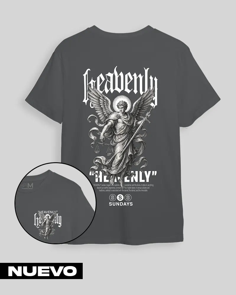 Camiseta Gris Piedra Heavenly(UNISEX)